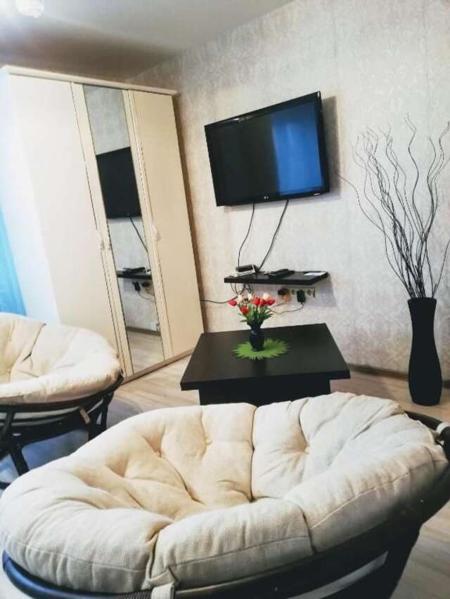 Апартаменты Apartment on Chapaeva Борисов-31